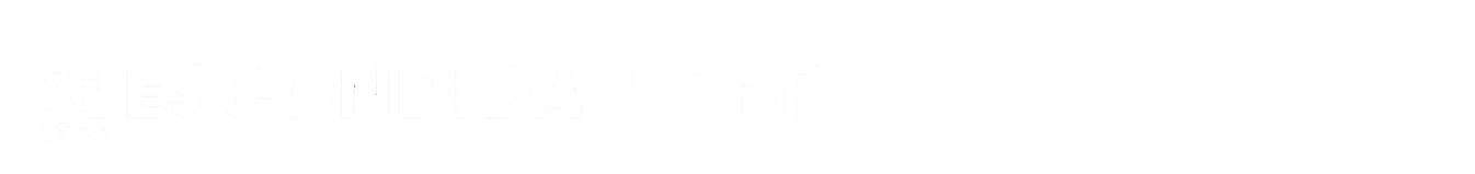 organiza ingeniosas y escondida BHP